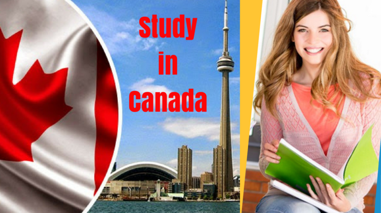 Top Reasons to Choose a Canada Student Visa Consultant in Ahmedabad