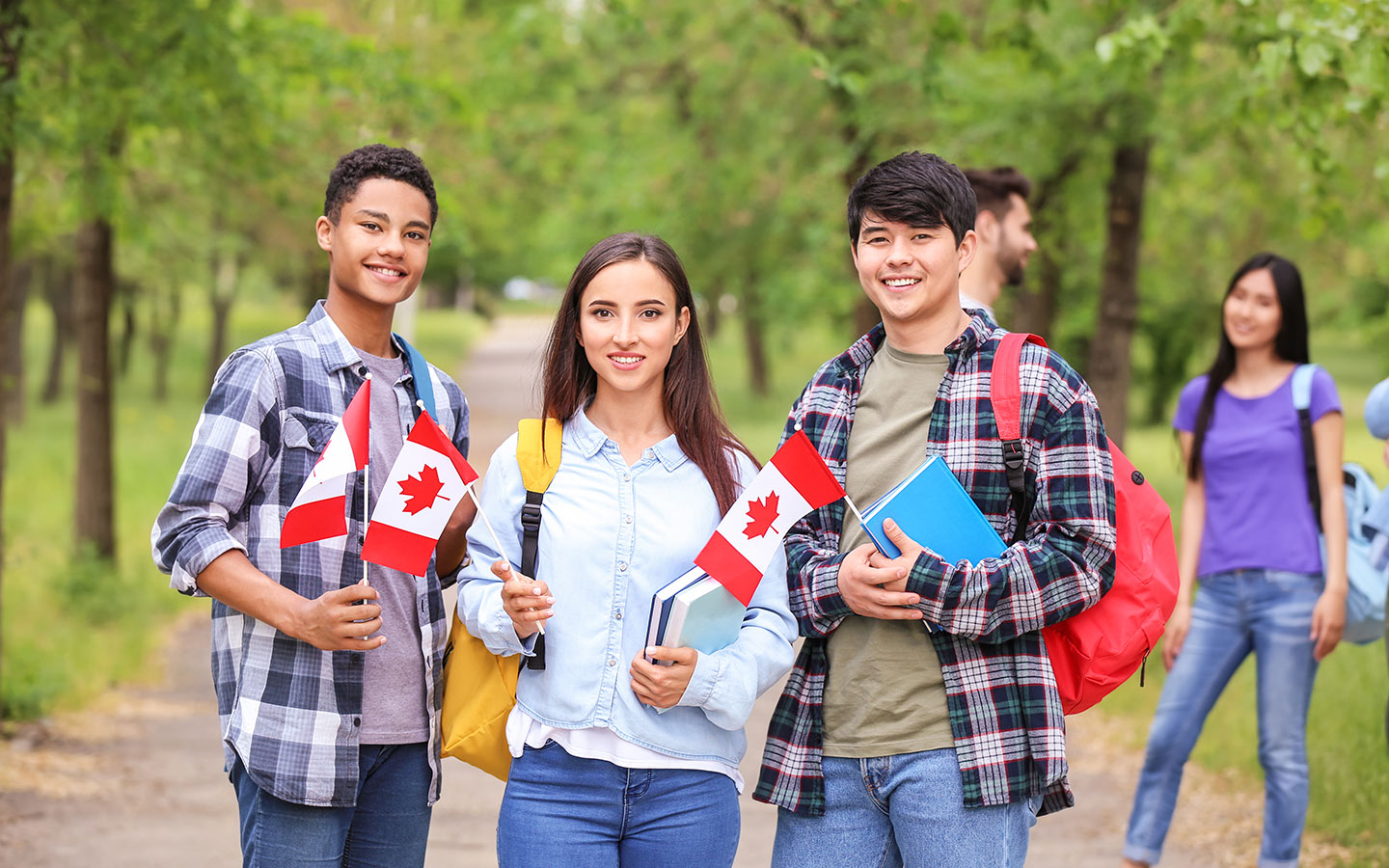 Top Benefits of Hiring a Consultancy for Canada Student Visa